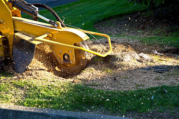 Mulching Services in Rockland, ME